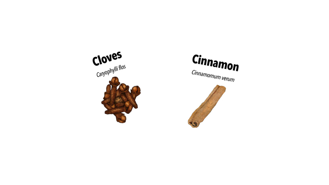 A Culinary Finale: Part 5 of the Thanksgiving Spice Series