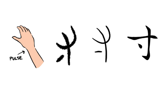 Let’s talk about “cun” (寸)