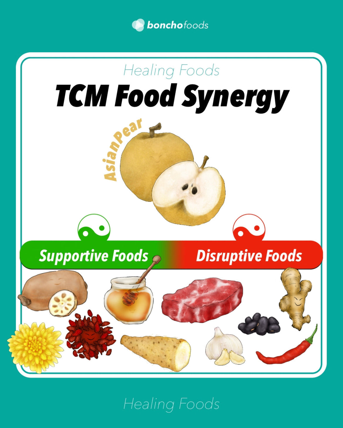TCM FOOD SYNERGY: Asian Pear