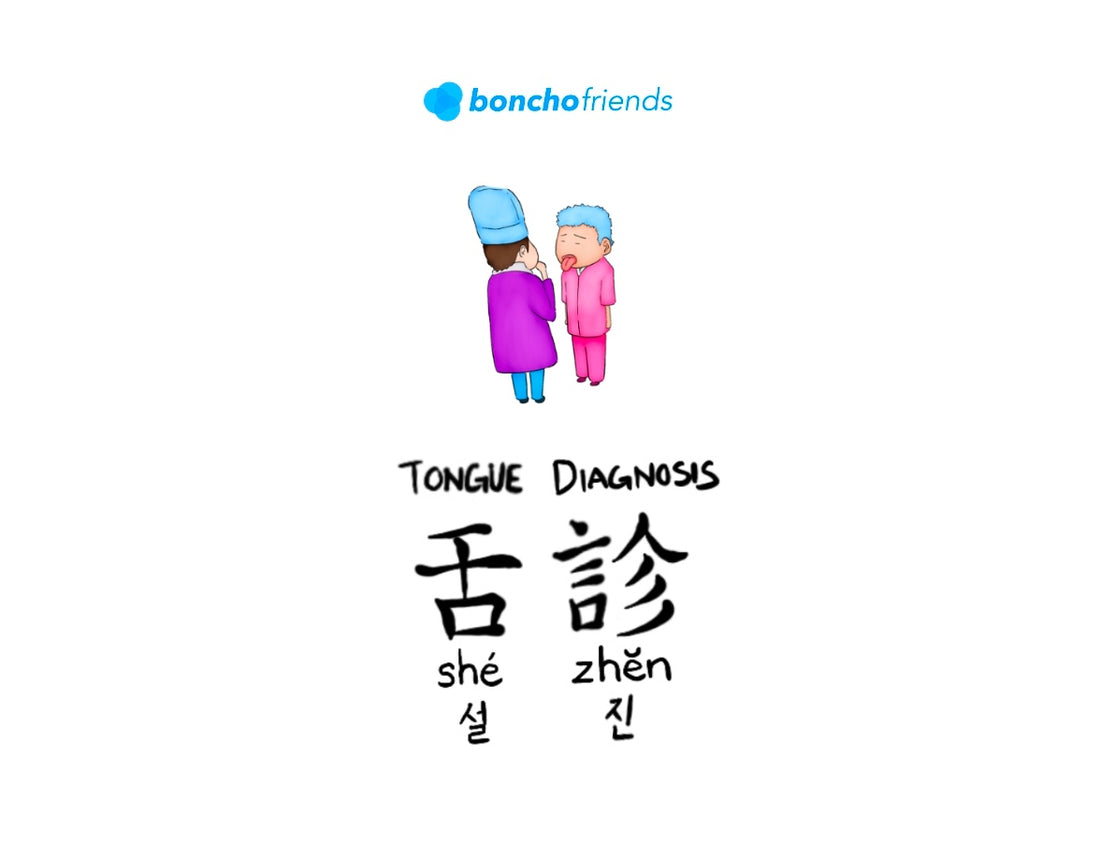 TCM Tongue Diagnosis (舌診)