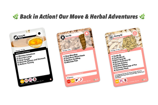 🌿 Back in Action! Our Move & Herbal Adventures 🌿