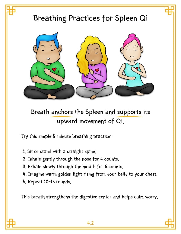 TCM Organ Guide Series — Vol. 1: Spleen