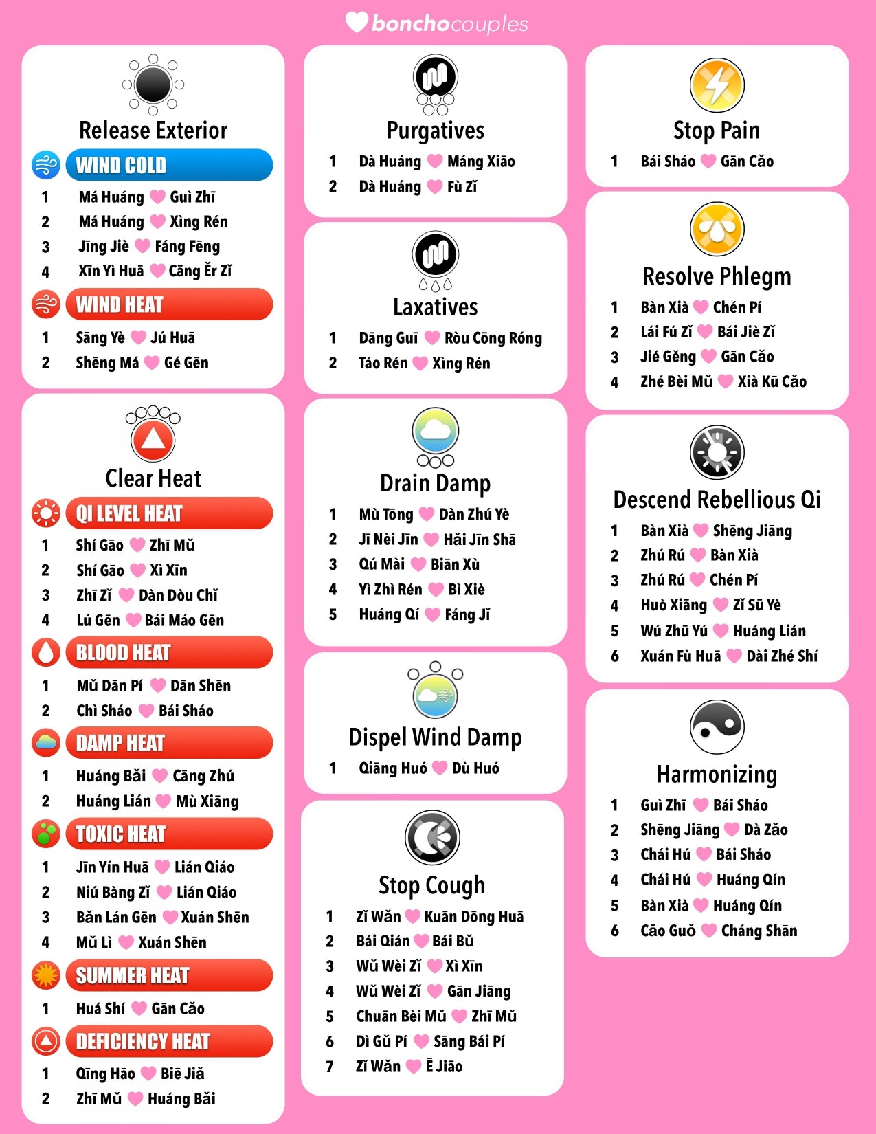 100 Dui Yao eBook & Chart - Digital Download