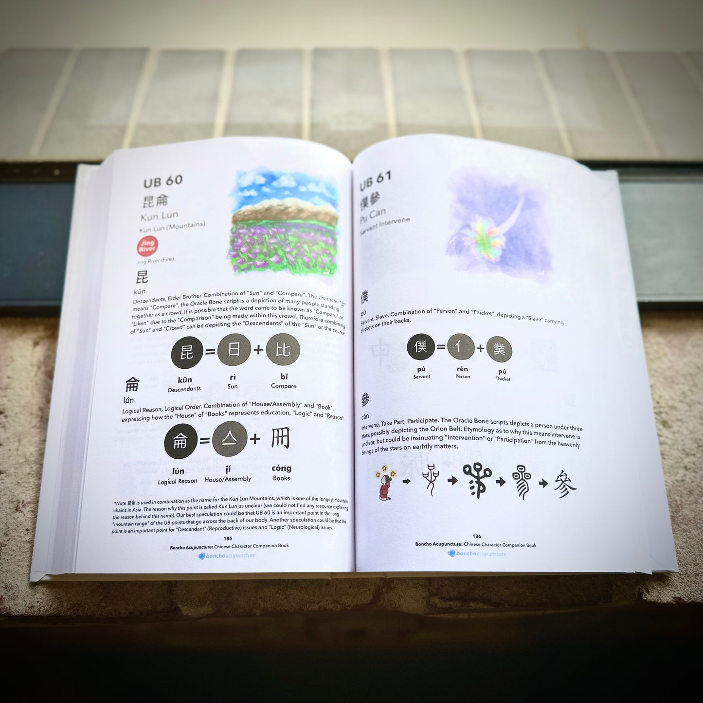 Acupuncture Chinese Characters Book