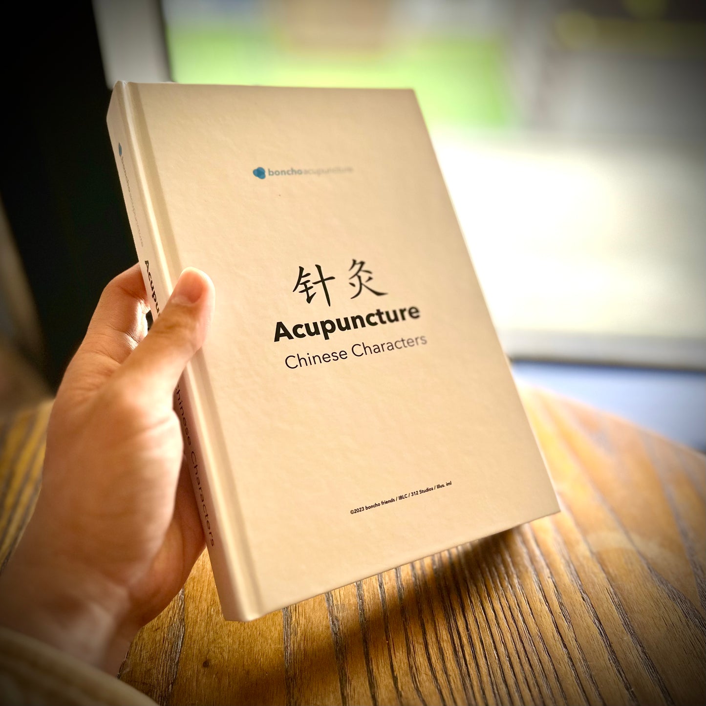 Acupuncture Chinese Characters Book