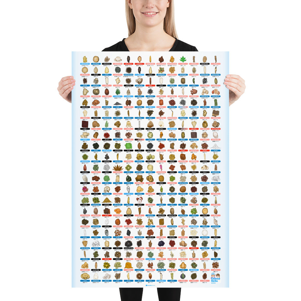 Boncho Friends Single Herb Poster