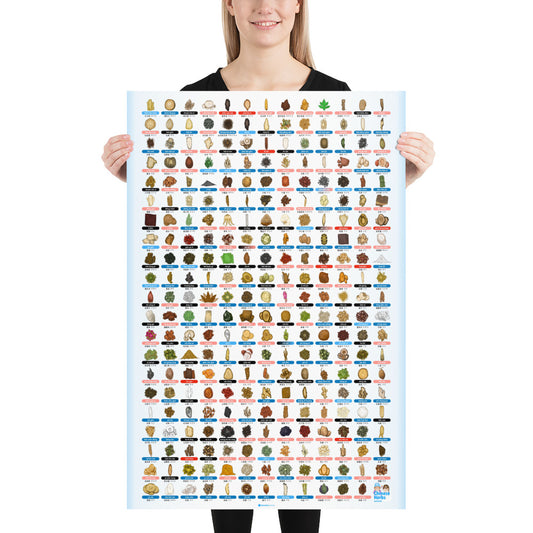 Boncho Friends Single Herb Poster