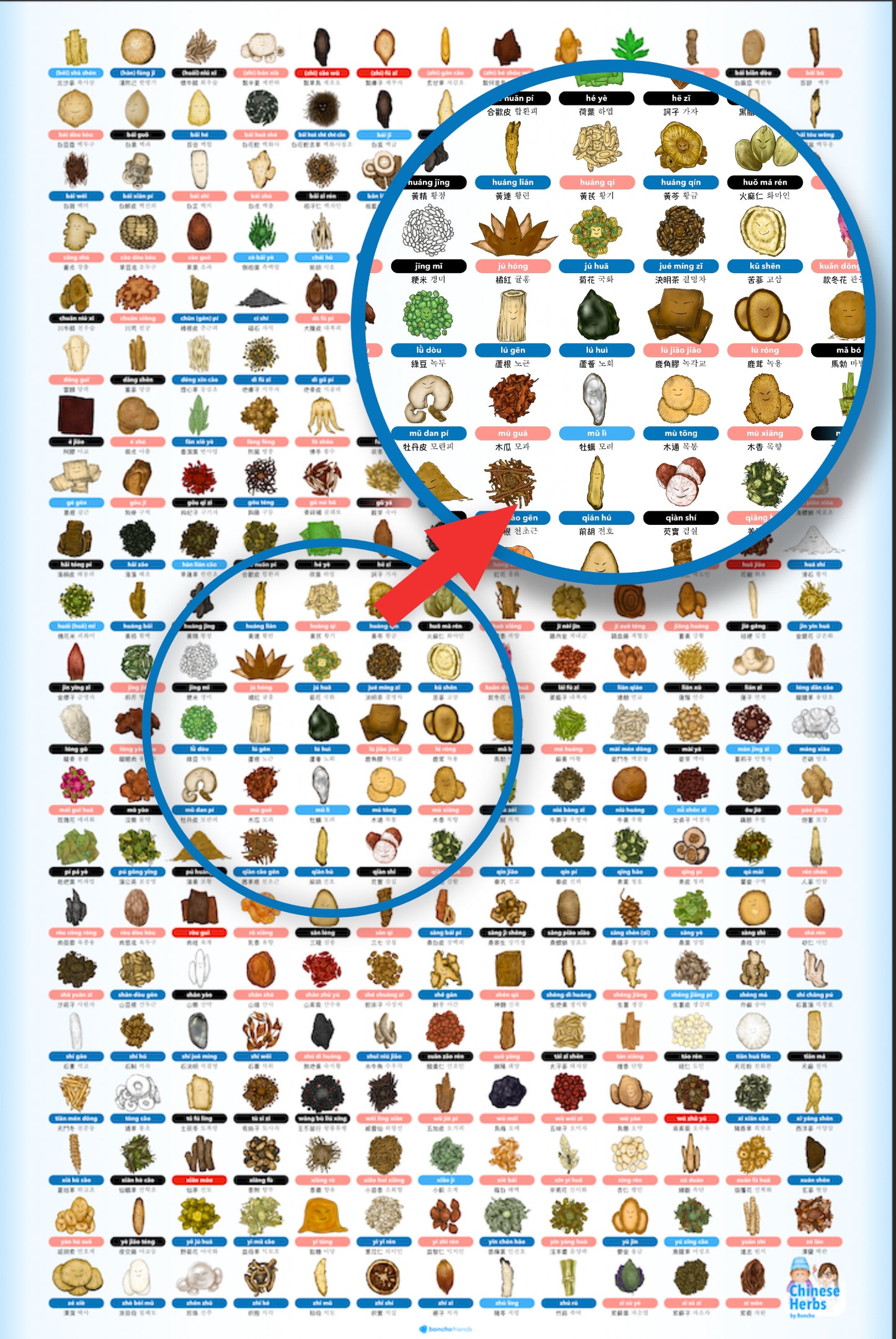 Boncho Friends Single Herb Poster