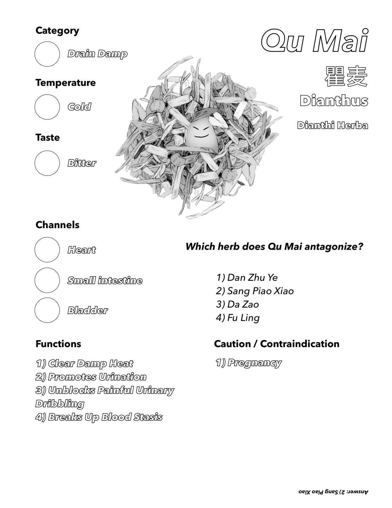 Single Herbs Coloring Book 1