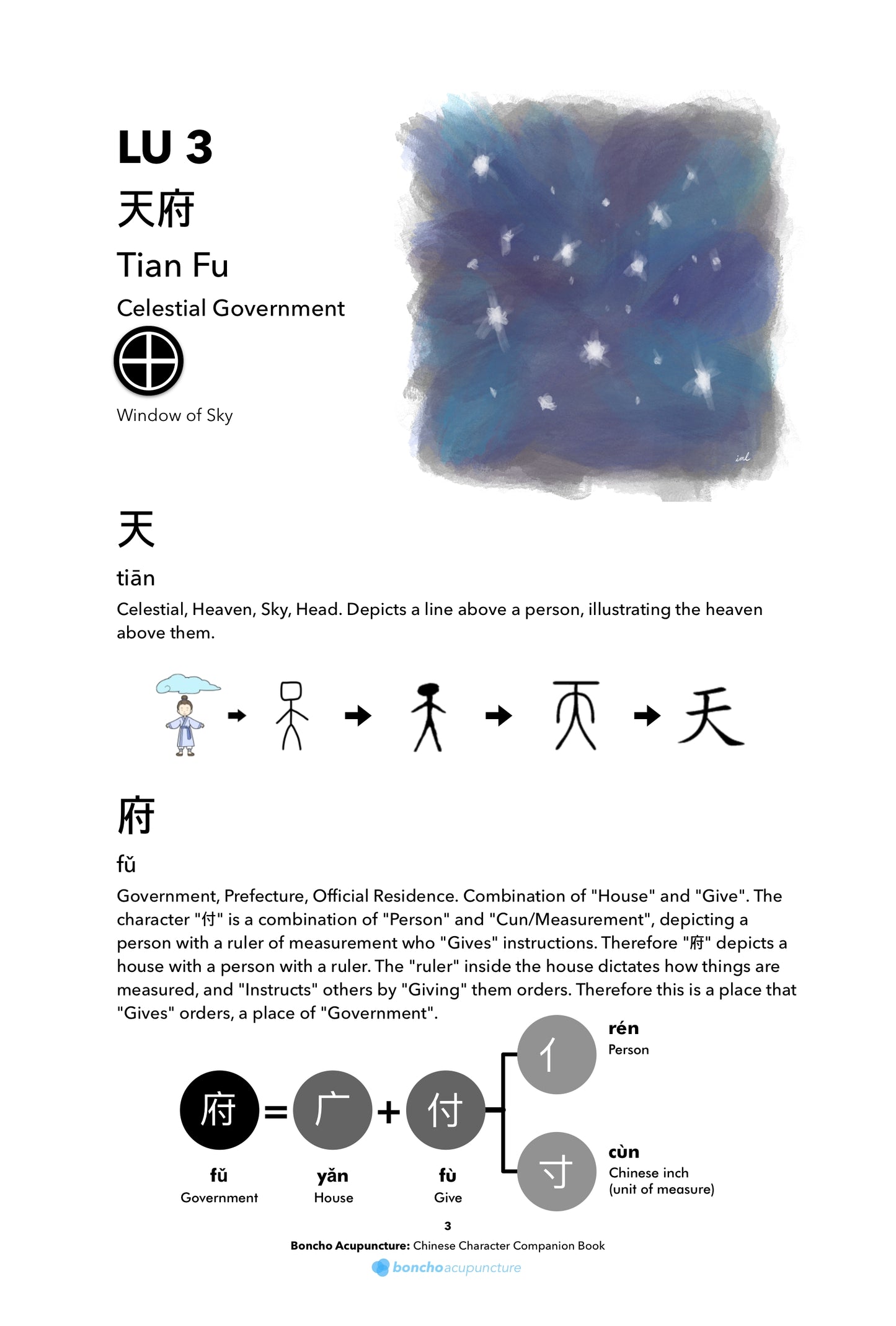 Acupuncture Chinese Characters Book