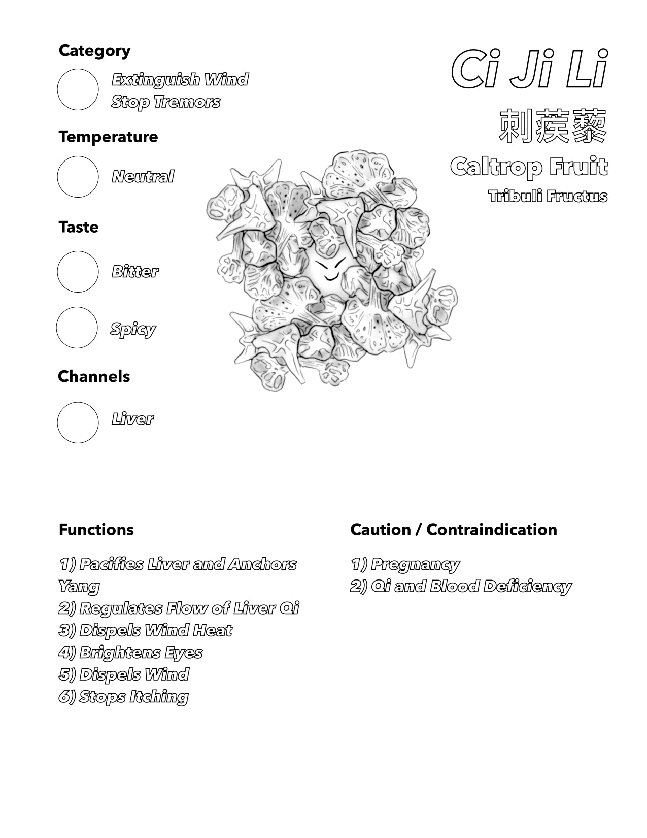 Single Herbs Coloring Book 3