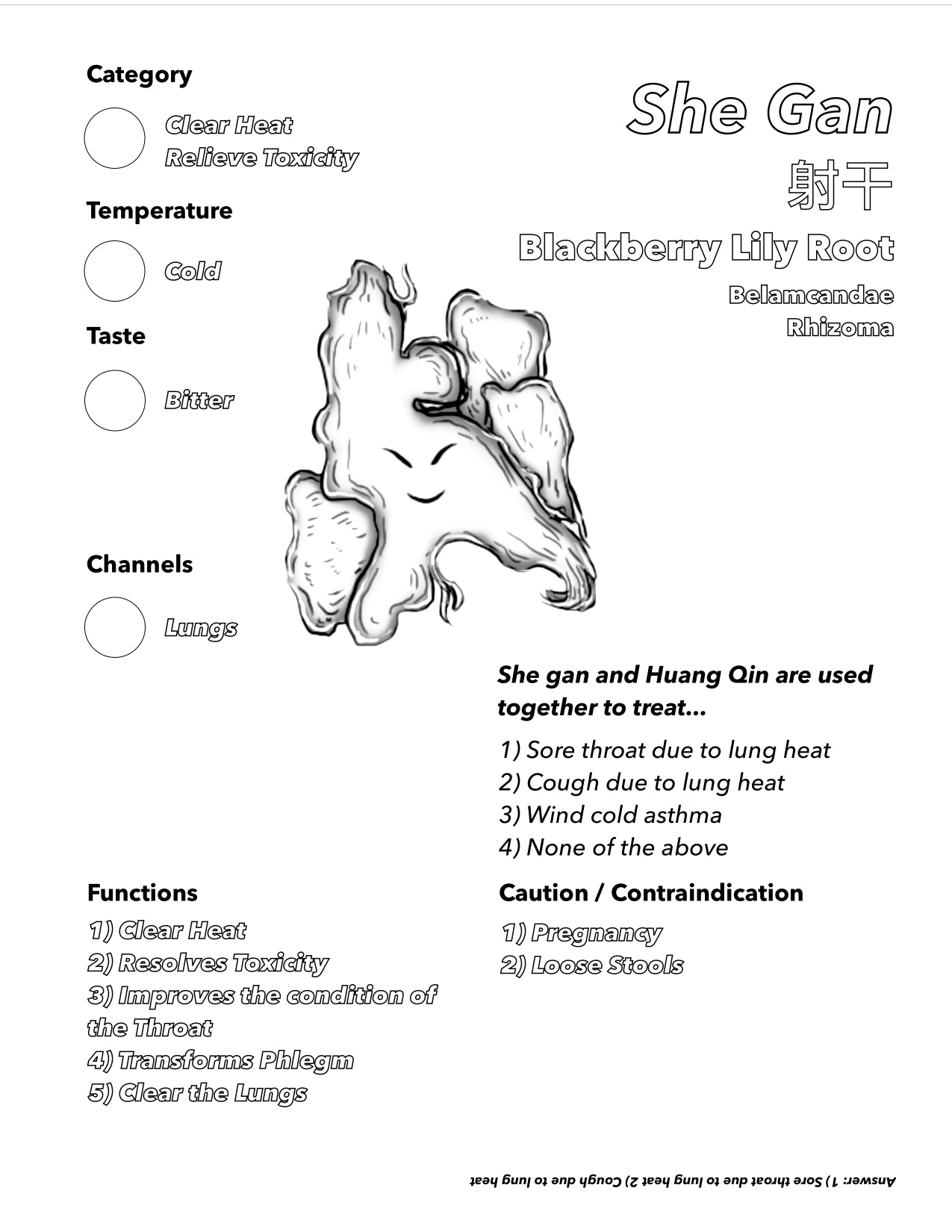 Single Herbs Coloring e-Book 2