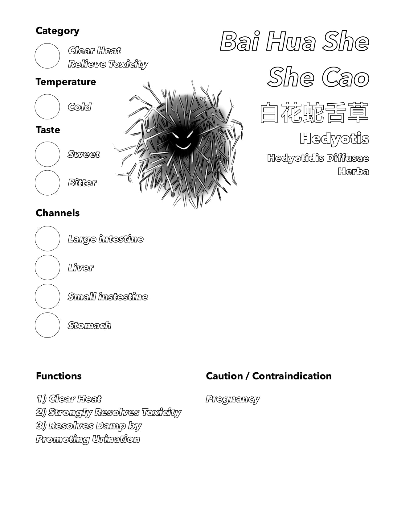 Single Herbs Coloring Book 2