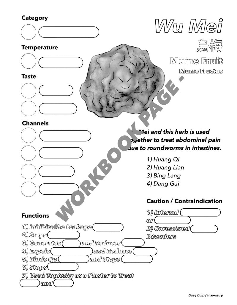 Single Herbs Coloring Book 5