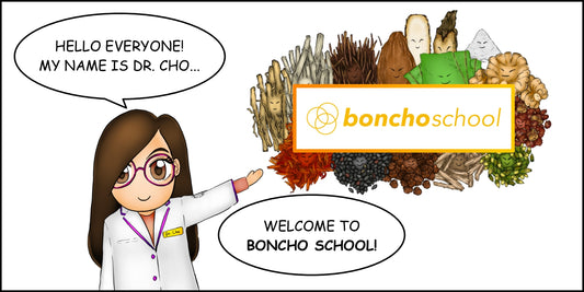 Boncho School - Episode 1 - Welcome