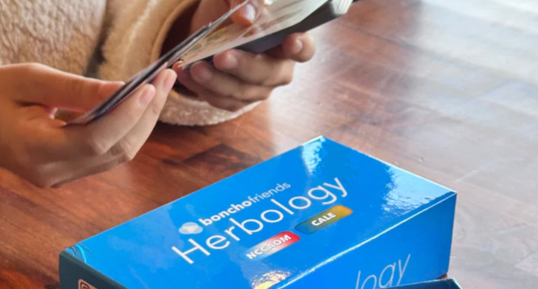 👋 Introducing the Boncho Friends Study Decks