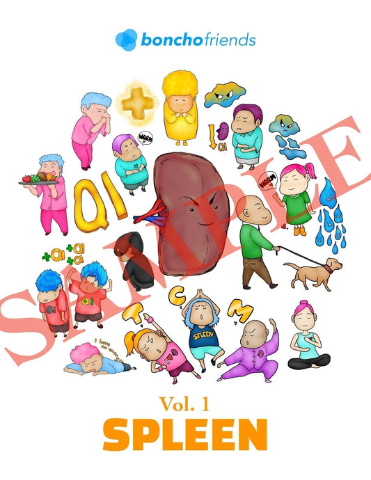 TCM Organs eBook - Vol 1 - Spleen by Boncho Friends [Sneak Peek Ver.]