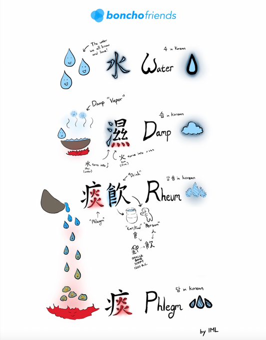 Water, Damp, Rheum, and Phlegm!