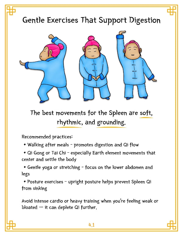 TCM Organ Guide Series — Vol. 1: Spleen