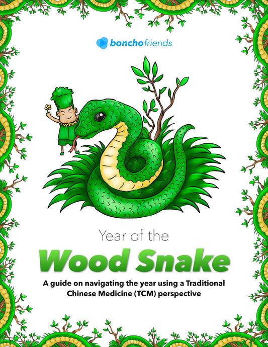 Wood Snake Mini e-Guide Book – 10 Foods to Add to Your Diet in 2025