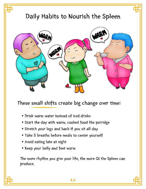 TCM Organ Guide Series — Vol. 1: Spleen