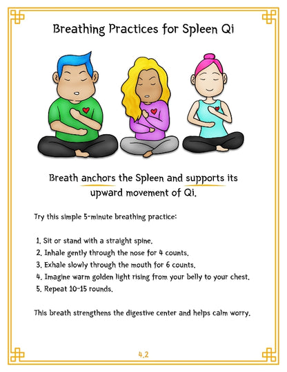 TCM Organ Guide Series — Vol. 1: Spleen