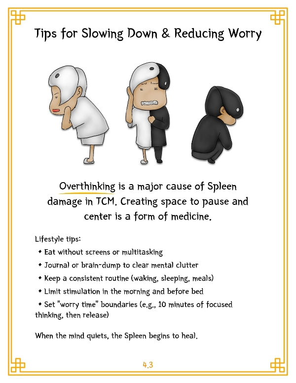 TCM Organ Guide Series — Vol. 1: Spleen