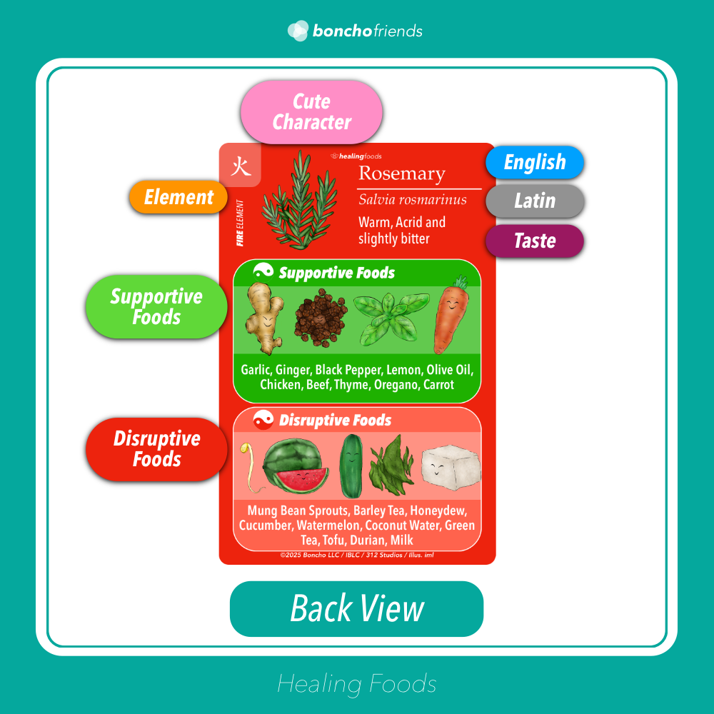 PRE ORDER SPECIAL-[Plus Size] Healing Foods Deck