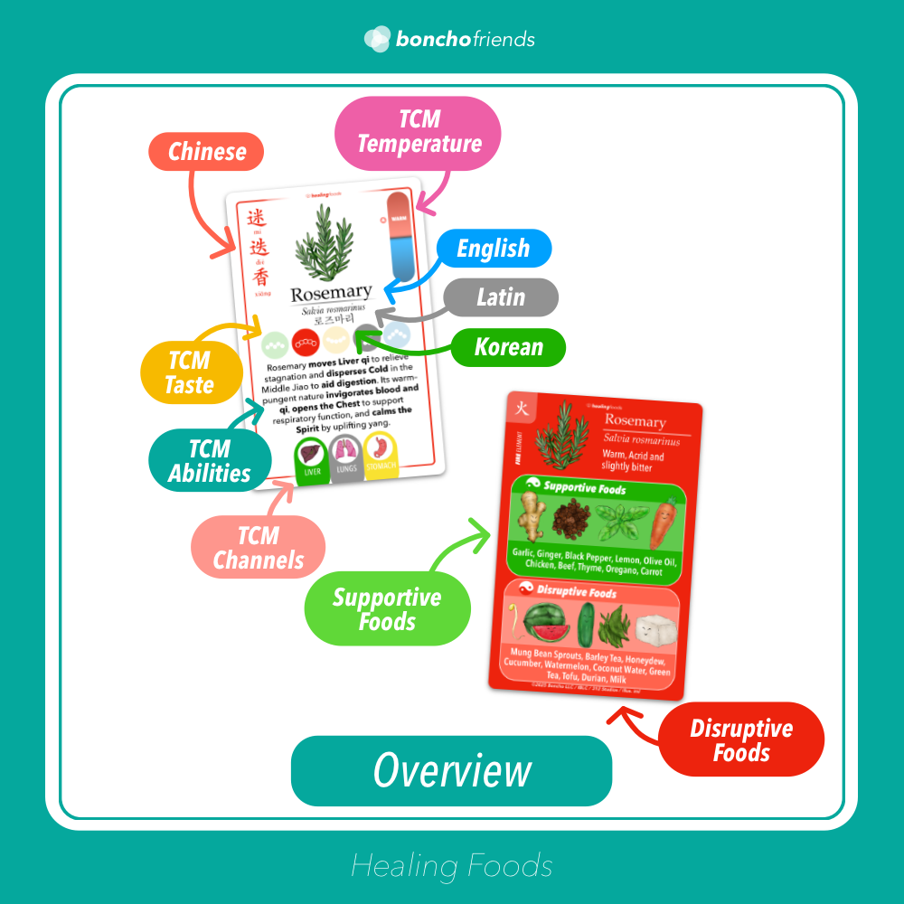 PRE ORDER SPECIAL-[Plus Size] Healing Foods Deck