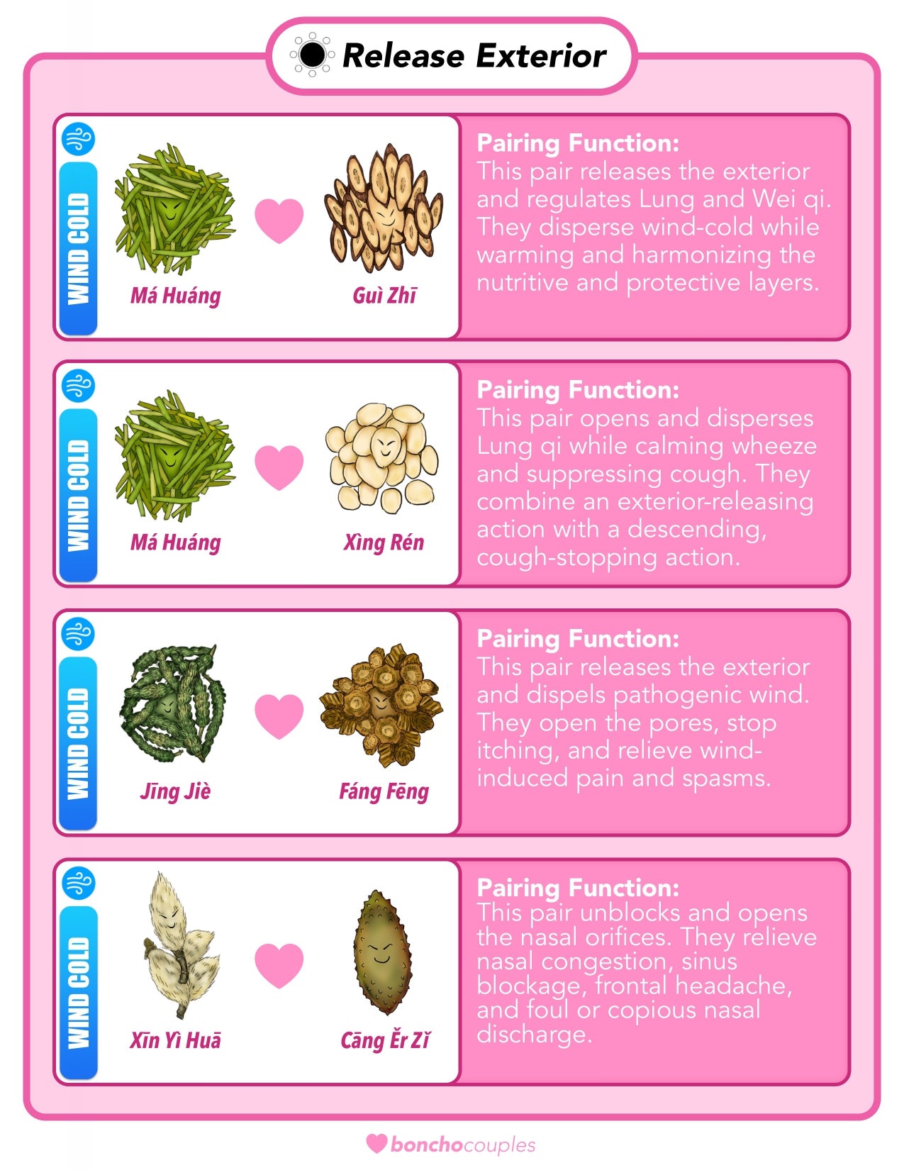 100 Dui Yao eBook & Chart - Digital Download