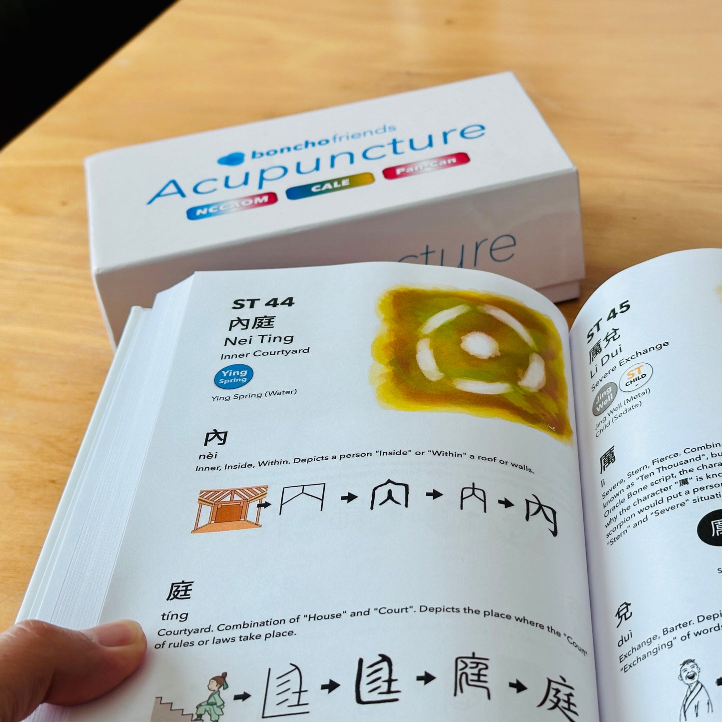 [Bundle] Acupuncture Deck & Acupuncture Chinese Characters Book