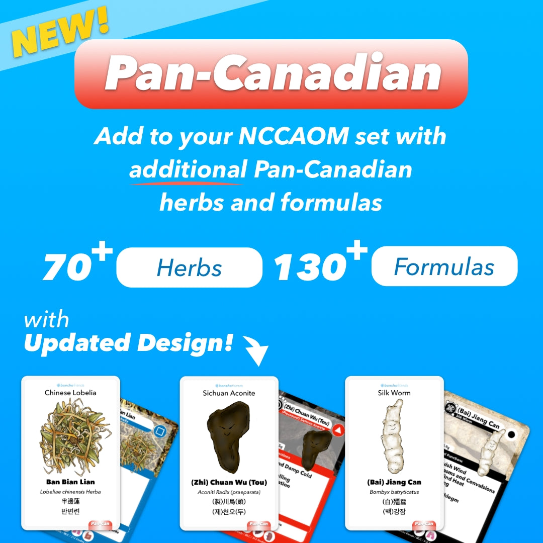 [PRE-ORDER] Pan-Can Booster Set Regular Size or Plus Size