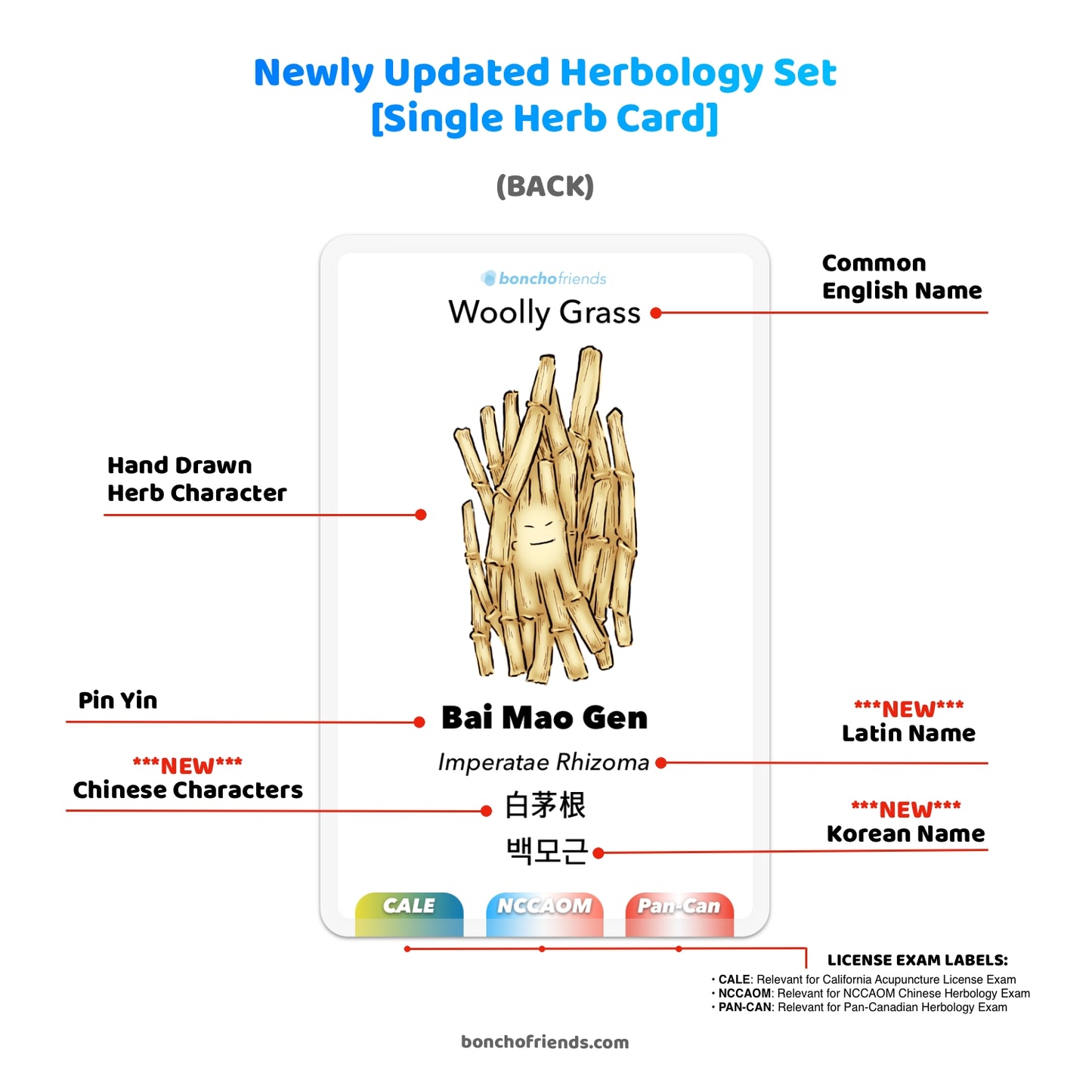 Complete Set for CALE & NCCAOM (Acupuncture Set & Herbology Set) - Regular Size or Plus Size
