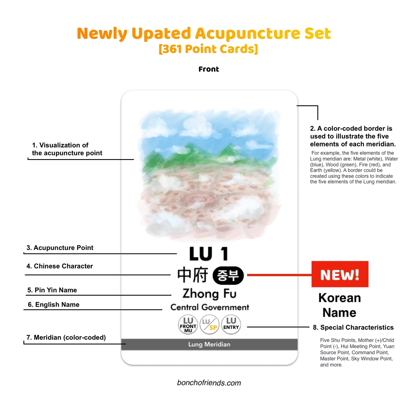 Acupuncture Set