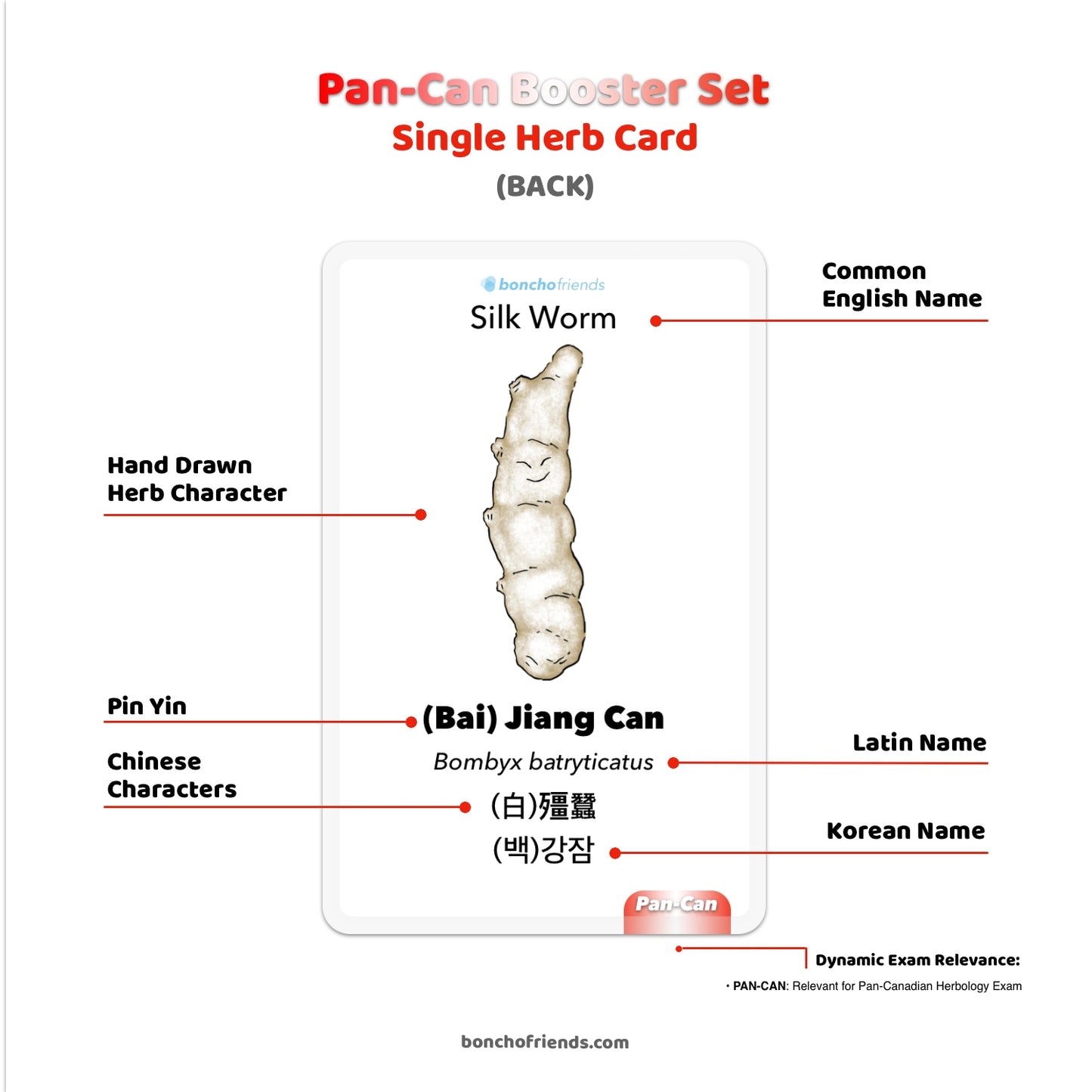 [PRE-ORDER] Pan-Can Booster Set Regular Size or Plus Size