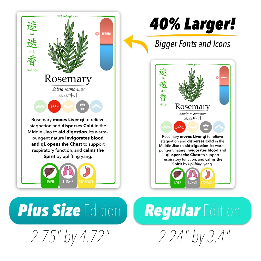 PRE ORDER SPECIAL-[Plus Size] Healing Foods Deck