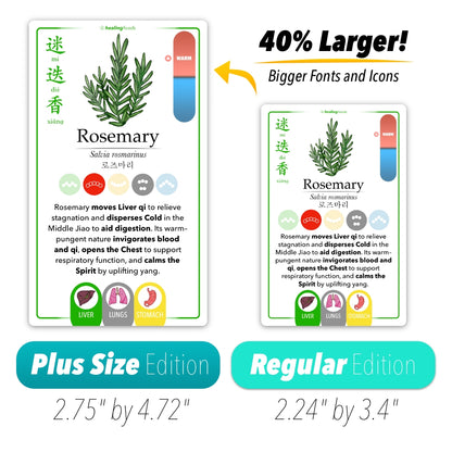 PRE ORDER SPECIAL-[Plus Size] Healing Foods Deck