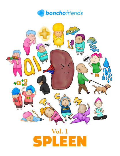 TCM Organs eBook - Vol 1 - Spleen by Boncho Friends