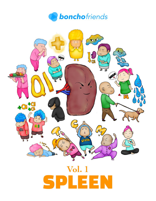 TCM Organs eBook - Vol 1 - Spleen by Boncho Friends