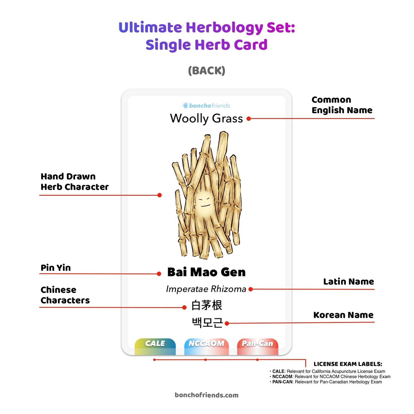 [PRE-ORDER] Ultimate Herbology Set Regular Size or Plus Size