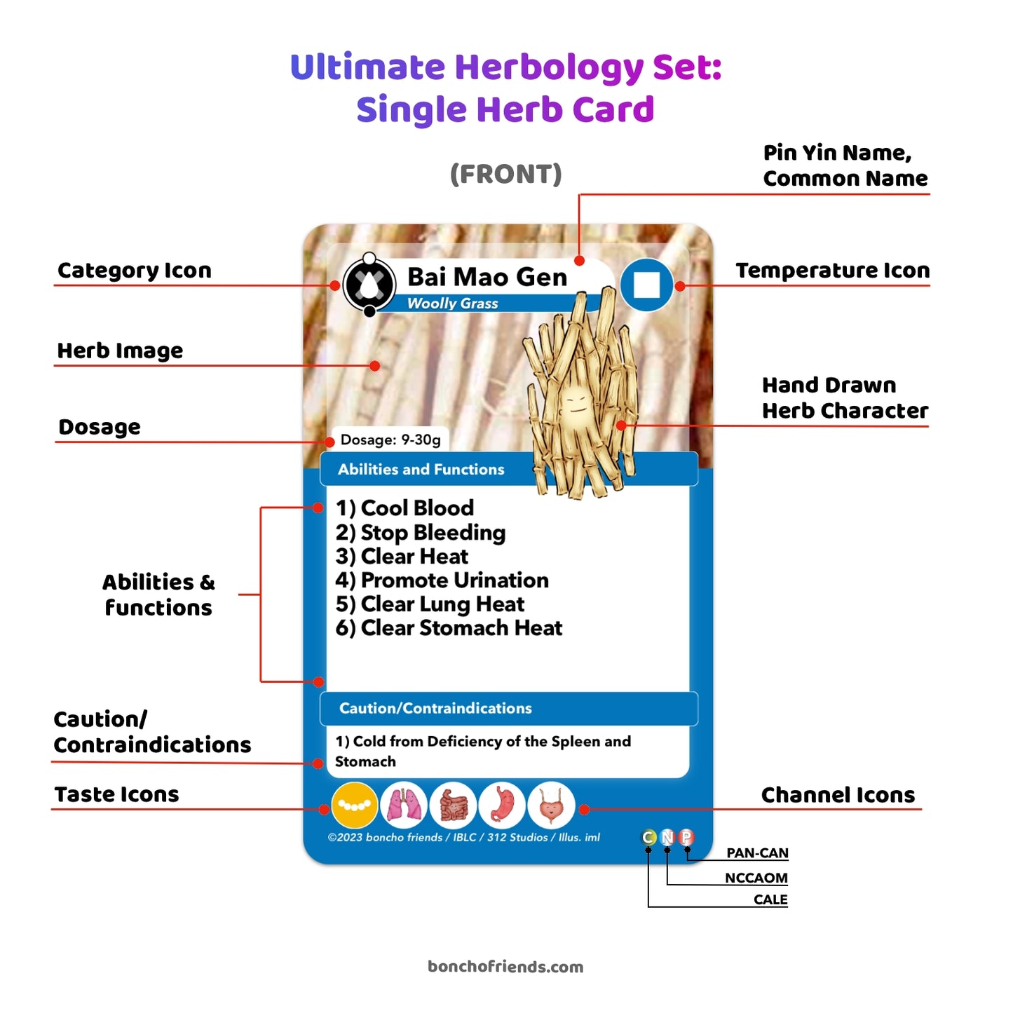 [PRE-ORDER] Ultimate Herbology Set (For CALE, NCCAOM, and PAN-CAN) - Regular Size or Plus Size
