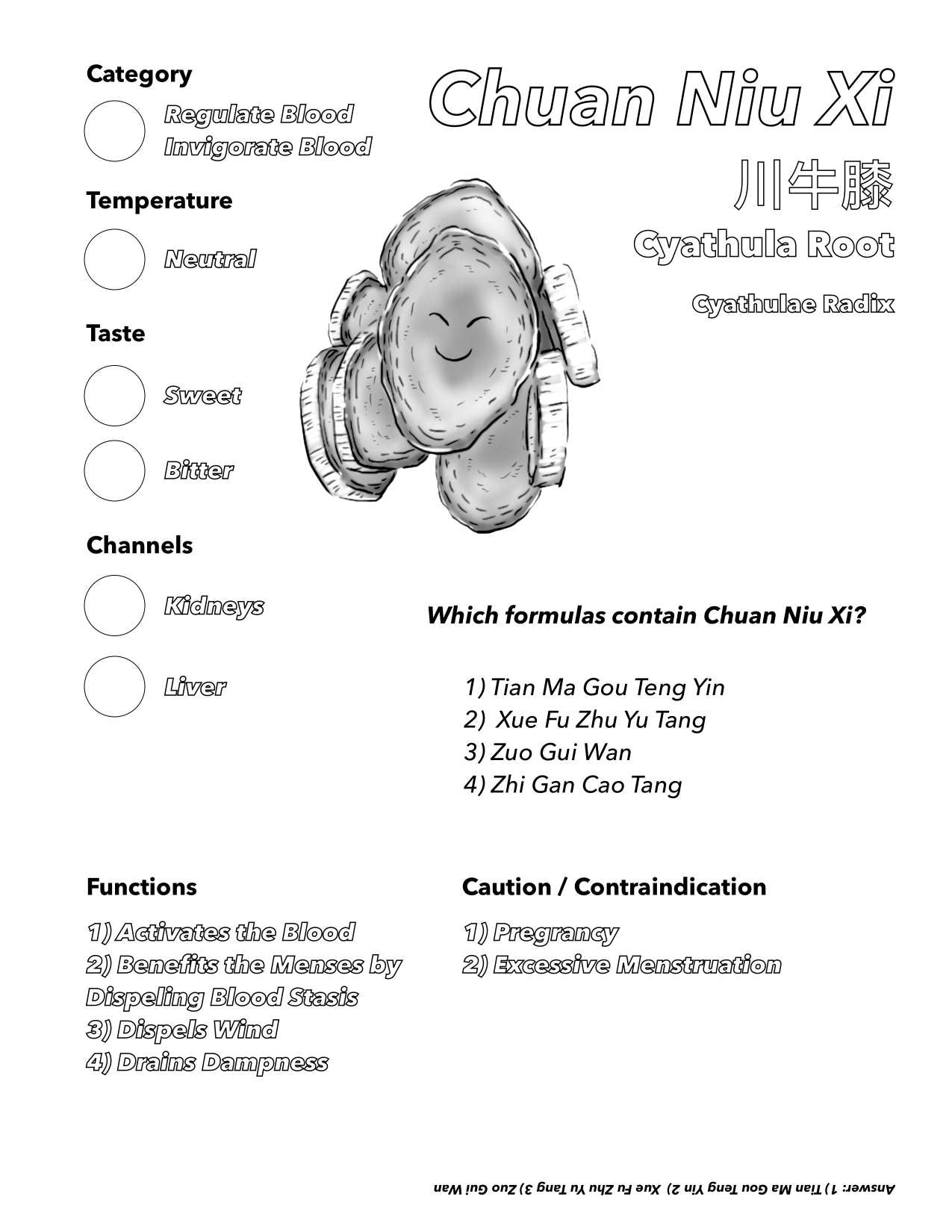 Single Herbs Coloring e-Book 1